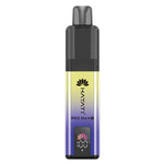 Hayati Pro Max+ 6000